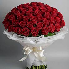 Букет 101 Красная роза Блэк Мэджик в Молочные Дворы