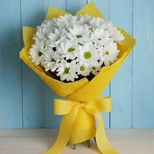 Букет цветов из:  Хризантемы в Молочные Дворы
