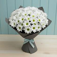 Букет цветов из:  Хризантемы в Молочные Дворы