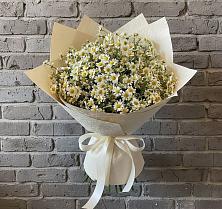 Букет цветов из:  Ромашки в Молочные Дворы