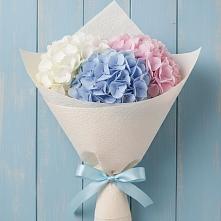Букет цветов из:  Гортензия в Молочные Дворы