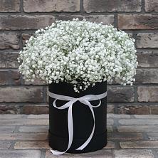 Цветочная композиция из Гипсофила в шляпной коробке в Молочные Дворы
