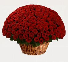 Премиум букет из: Розы в Молочные Дворы