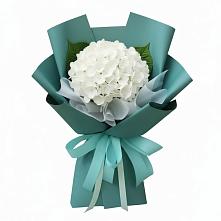 Букет цветов из:  Гортензия в Молочные Дворы